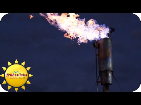 Energieverschwendung per Gesetz - dieses Gesetz ist völlig unsinnig | SAT.1 Frühstücksfernsehen