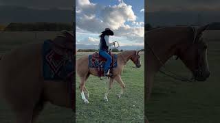 Video 1