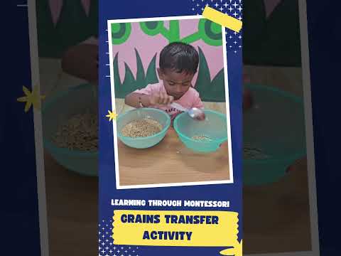 Grains Transfer Activity