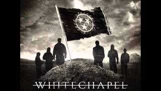 Whitechapel - Rise/Our Endless War