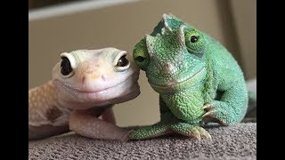 Новости науки. Январь №2