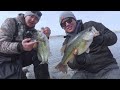 Video Thumbnail for Shore Fishing Aggressive Saskatchewan Largemouth Bass!!
