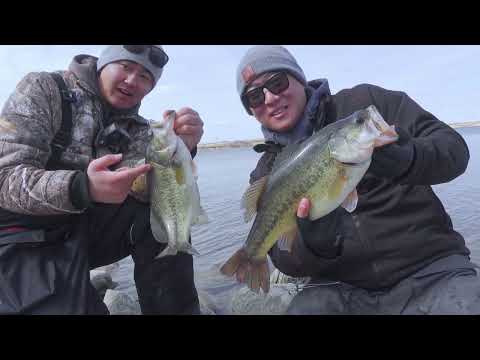 Shore Fishing Aggressive Saskatchewan Largemouth Bass!!
