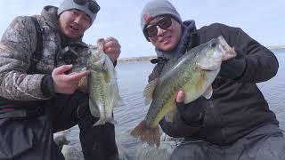 Shore Fishing Aggressive Saskatchewan Largemouth Bass!!