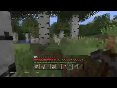 Minecraft PS4 Lets Play E1-The Beginning