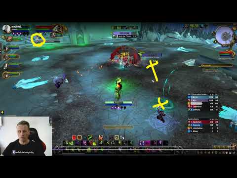 Amarth | Dungeon Boss Guide | Die nekrotische Schneise (Necrotic Wake) | SL BETA | Folge#18