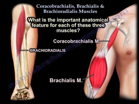 a brachialis artrózis kezelése