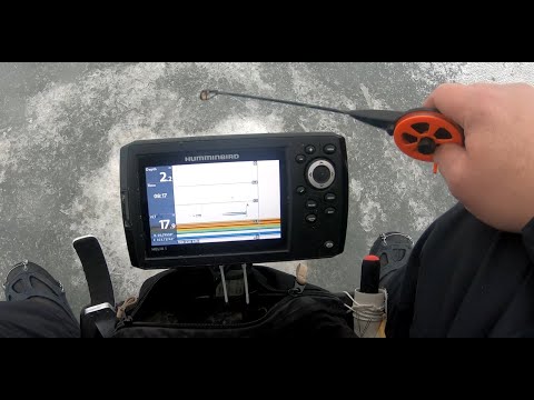 Kuhan pilkintä järvellä jatkuu