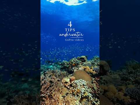 4 Tips for underwater GoPro Videos 🤿🐠 #goprotravel #travel #oceanlovers #travelphotography #ocean