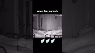 Download lagu Angel leaving body | Last breath & his soul leaving his body #dying #angel #death #shorts #hospice mp3 Download lagu Angel leaving body | Last breath & his soul leaving his body #dying #angel #death #shorts #hospice mp3