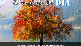 Miniatura del video: El versiculo del dia .com - Salmos 41 v4