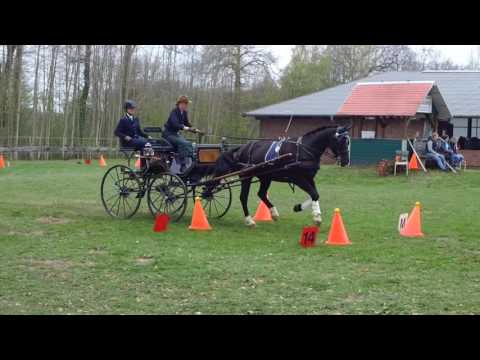 Fahrturnier Heek 8.4.2017