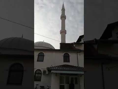 Muhamed Hamzaj 15 January 2020