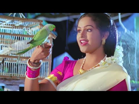 Kogileya Haadu Kannada Song | Kannada Movie Junction