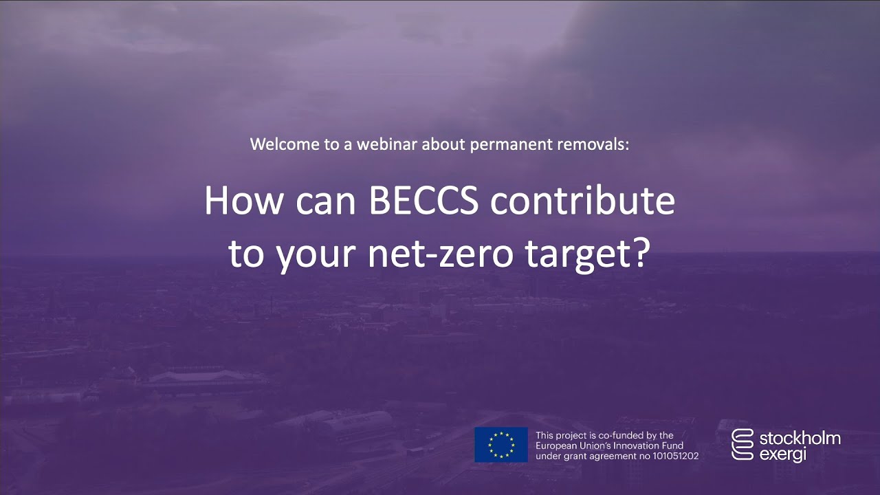 How can BECCS contribute to your net-zero target?