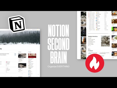 Notion Second Brain Full Setup | Prototion | Notion Template