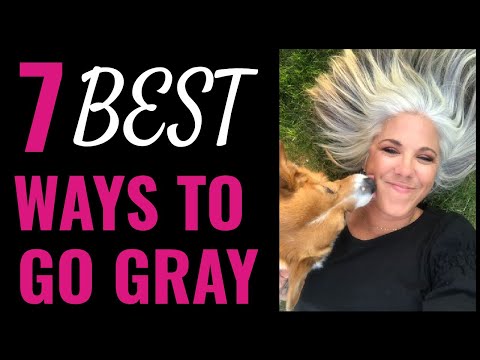 download lagu mp3 mp4 How To Go Back To Gray After Coloring Hair, download lagu How To Go Back To Gray After Coloring Hair gratis, unduh video klip How To Go Back To Gray After Coloring Hair