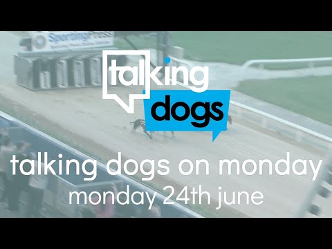 Talking Dogs on Monday 24th June