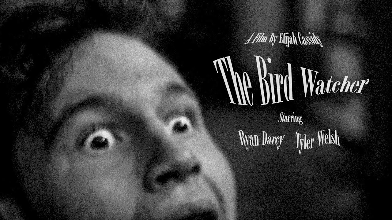 The Bird Watcher - A short film by Elijah Cassidy