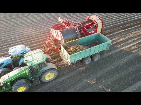 Vađenje krompira u Čelarevu, Delta Agrar