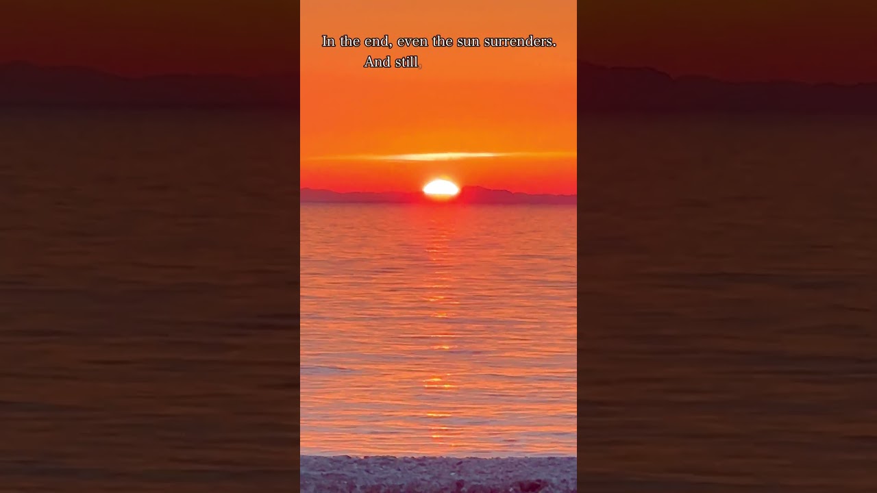 When the Sun Melts into the Sea – A Moment of Stillness 🌅✨