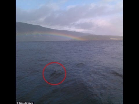 Im Fadenkreuz-Loch Ness auf der Spur-Doku Deutsch
