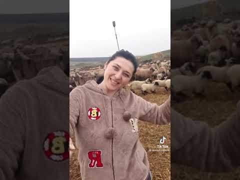 Bate vântul bate bate