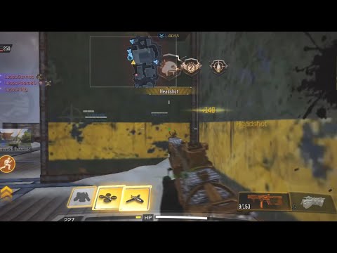 É os Pitbull do Ano 🦮🤓