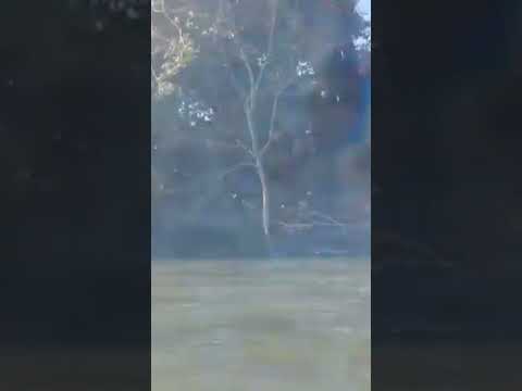 Laguna de Apastepeque, San Vicente. E.S.