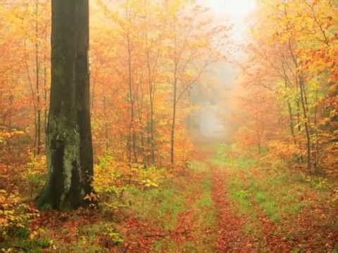 Autumnsong:  A Piece for Flute, Violin, Viola, and Piano