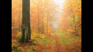 Autumnsong:  A Piece for Flute, Violin, Viola, and Piano