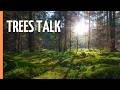 The Hidden Language of Trees: How Forests Secretly Communicate | Full Documentary