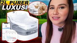 Petgugu: Nierenprobleme bei Katzen? Dieser Trick hilft wirklich!