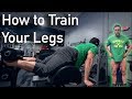 Training with a Knee Injury | Exercises, Cardio, Intensity, and FULL WALKTHROUGH