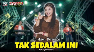 Download lagu Cantika Davinca - Tak Sedalam Ini | Sagita Djandhut Assololley | Dangdut mp3 Download lagu Cantika Davinca - Tak Sedalam Ini | Sagita Djandhut Assololley | Dangdut mp3