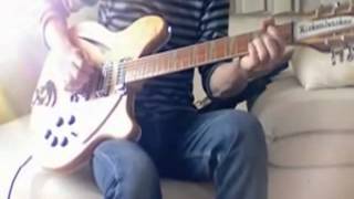 MR. SPACEMAN: THE BYRDS RICKENBACKER 12 Strings,good