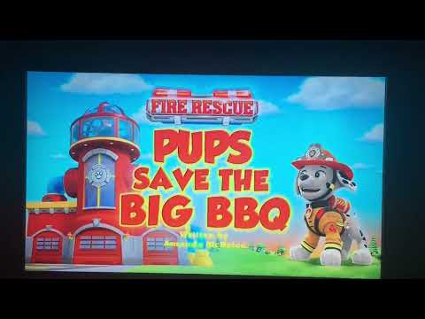 PAW PATROL SEASON 11 PAW PATROL FIRE RESCUE PUPS SAVE THE BIG BBQ EPISODE TITLE CARD