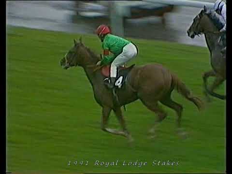 1991 Royal Lodge Stakes Made Of Gold Includes Replay
