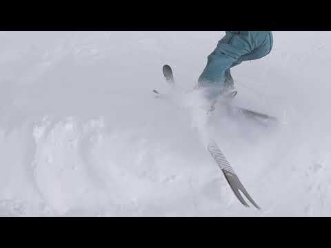 BATTUERE2019 LINE SAKANA