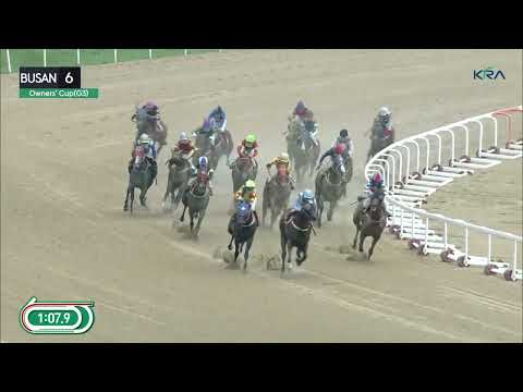 (Busan) 2023.07.09 R6 Class Open (1600M) Busan Owners' Cup (KOR-G3) Weight for Age