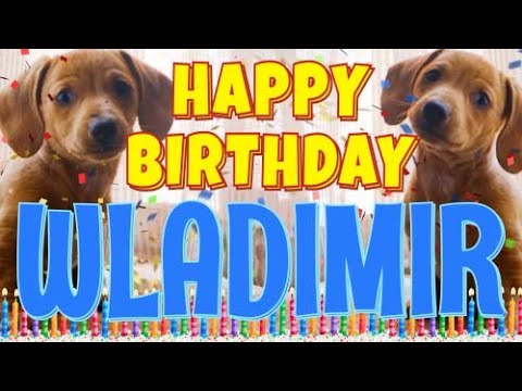 Happy Birthday Wladimir! ( Funny Talking Dogs ) What Is Free On My Birthday