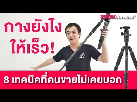 สมาชิกที่เล็กที่สุดของ ราคาถูกซื้อเชื้อโรคม้า