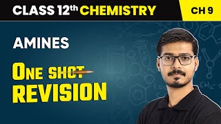 Amines - One Shot Revision | Class 12 Chemistry Chapter 9 | CBSE 2024-25 #oneshot