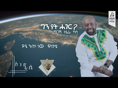 "እንደራሴ" ግርማ ተፈራ | "Enderase" Girma Tefera #visulaizer #sewasewmultimedia