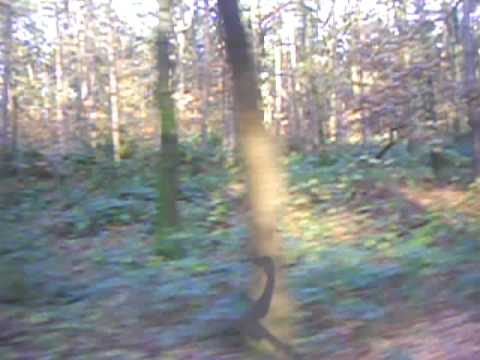 Nordhorn - Bersenbrück 2