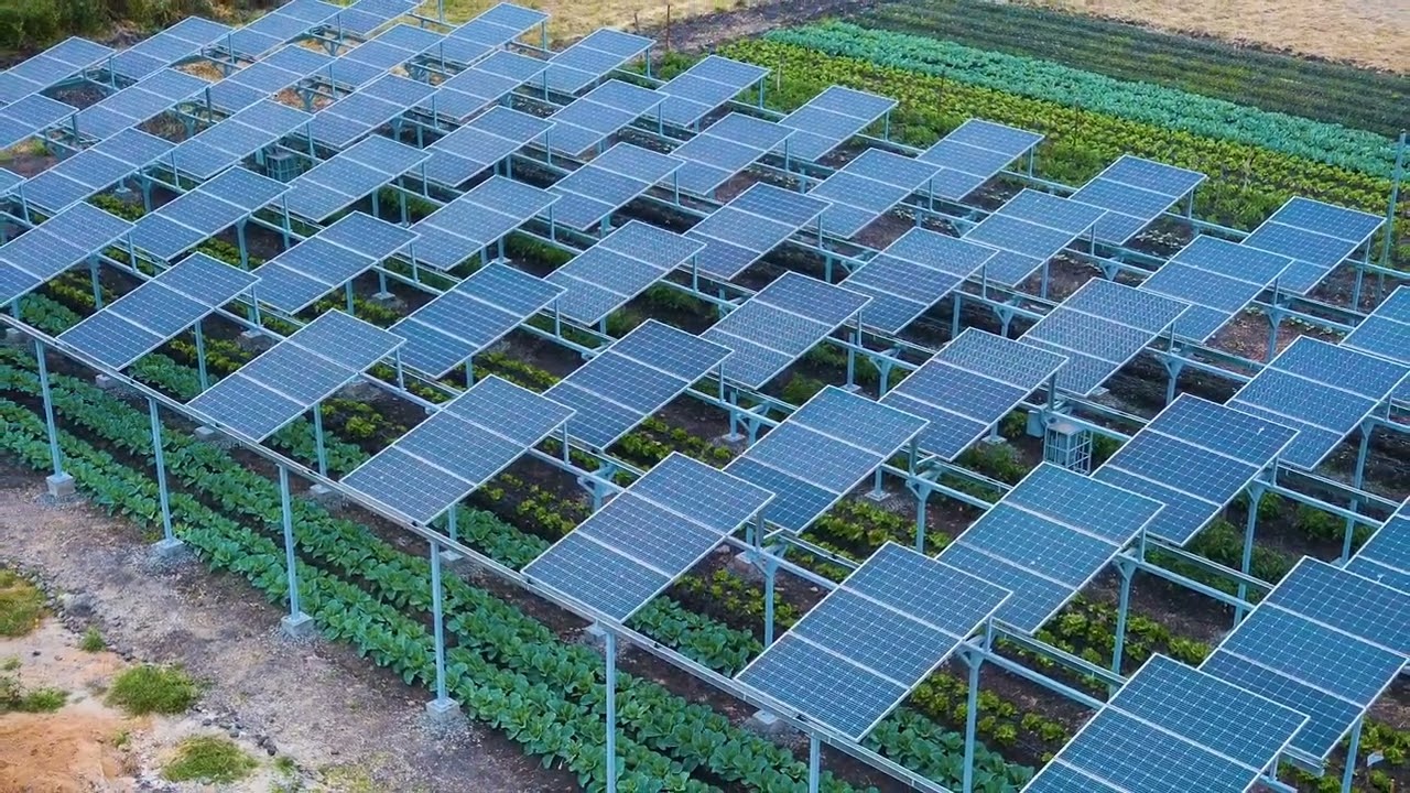 Chloride Solar: We Know Solar!