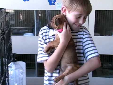 Mega S Ruth Michaels The Ccspca