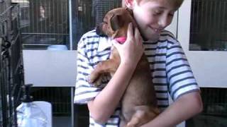 Mega's Ruth Michaels @ The CCSPCA