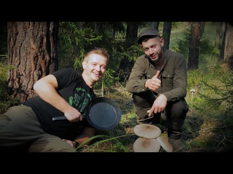 XXL Pilzpfanne - Lagerfeuerküche / Riesenschirmling - Parasolpilz zubereiten im Bushcraft Style