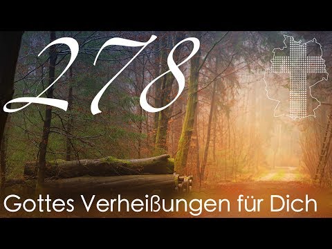 Gottes Verheißungen für Dich - Johannes 10,9 | Videokalender 278/365 - Deutschland braucht JESUS